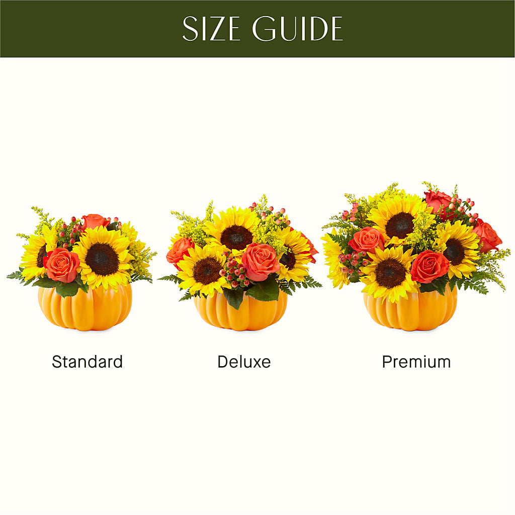 Pick of the Patch Pumpkin Bouquet – CONNIE'S FLORAL ARRANGEMENTS, Virginia Beach VA
