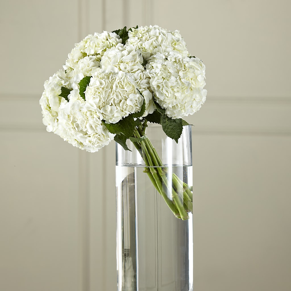 White Hydrangea Hand-Tied Bouquet – CONNIE'S FLORAL ARRANGEMENTS, Virginia Beach VA