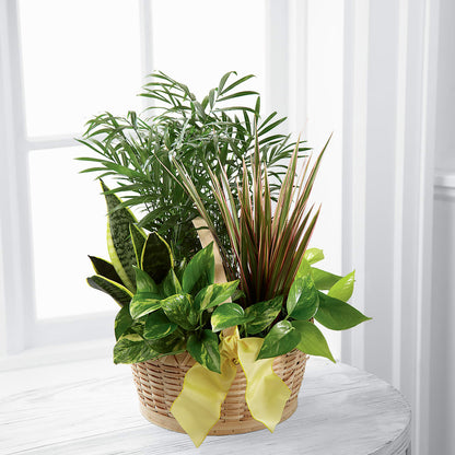 French Garden – CONNIE'S FLORAL ARRANGEMENTS, Virginia Beach VA
