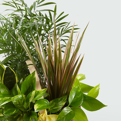 French Garden – CONNIE'S FLORAL ARRANGEMENTS, Virginia Beach VA