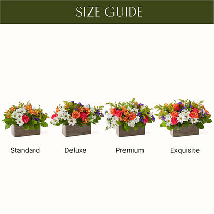 Oopsie Daisy Box Bouquet – CONNIE'S FLORAL ARRANGEMENTS, Virginia Beach VA