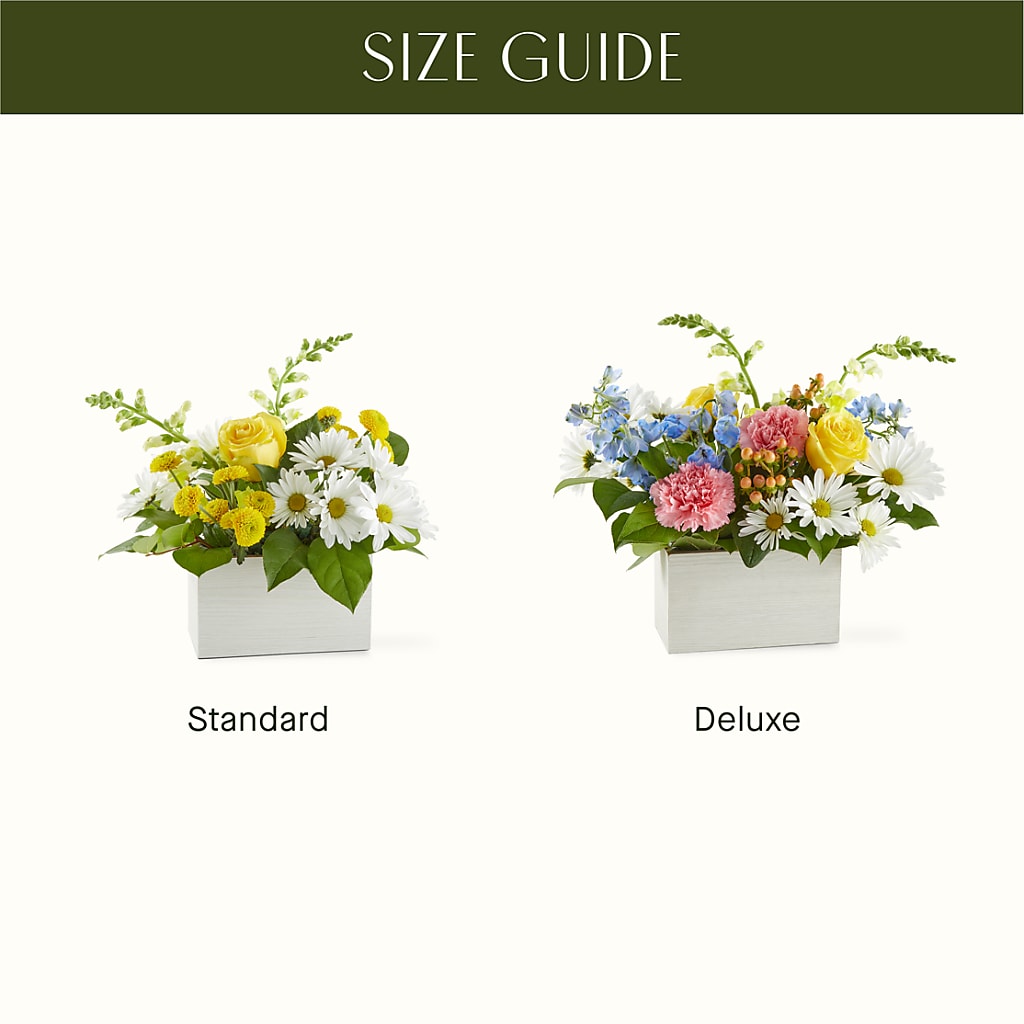 Sun Salutation Box Bouquet – CONNIE'S FLORAL ARRANGEMENTS, Virginia Beach VA