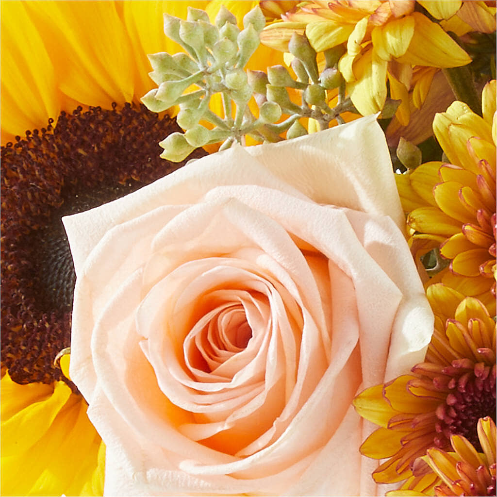 Pumpkin to Talk About Bouquet – CONNIE'S FLORAL ARRANGEMENTS, Virginia Beach VA