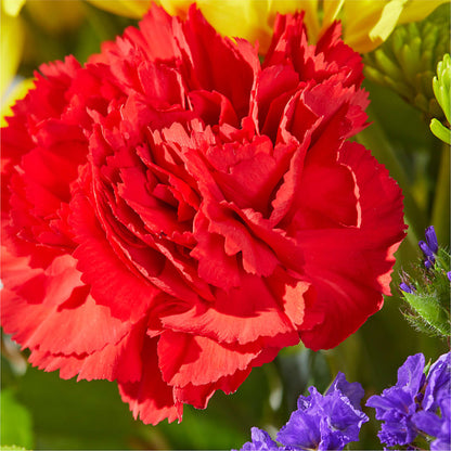 Brighter Days Bouquet – CONNIE'S FLORAL ARRANGEMENTS, Virginia Beach VA