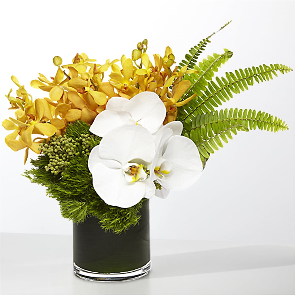 The Tropics – CONNIE'S FLORAL ARRANGEMENTS, Virginia Beach VA