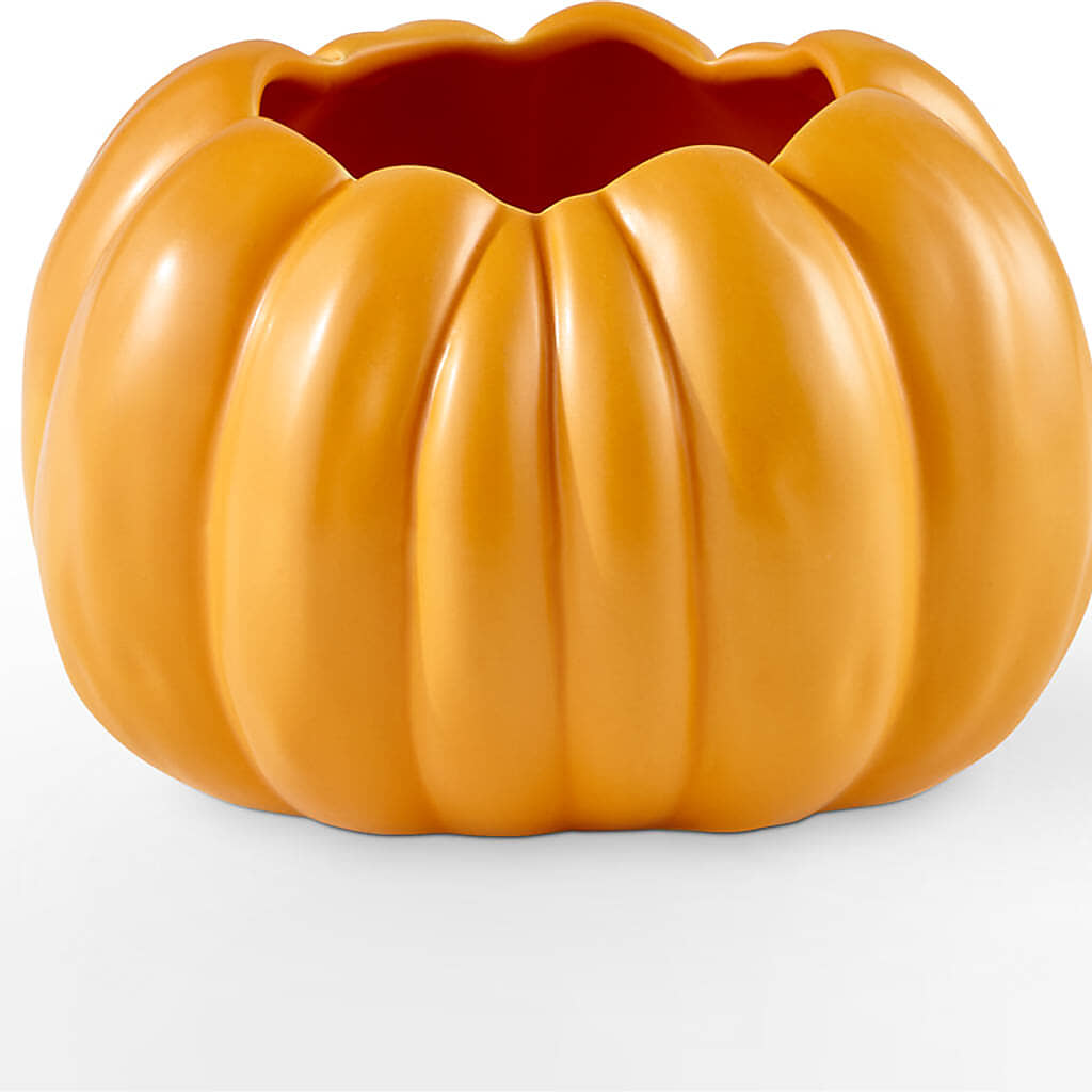 Golden Gourd Pumpkin Bouquet – CONNIE'S FLORAL ARRANGEMENTS, Virginia Beach VA
