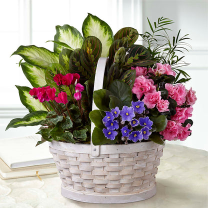 Peaceful Garden Planter – CONNIE'S FLORAL ARRANGEMENTS, Virginia Beach VA