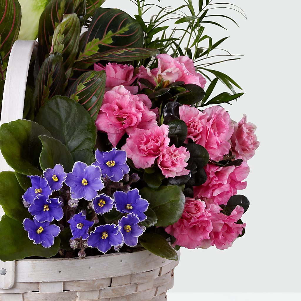 Peaceful Garden Planter – CONNIE'S FLORAL ARRANGEMENTS, Virginia Beach VA