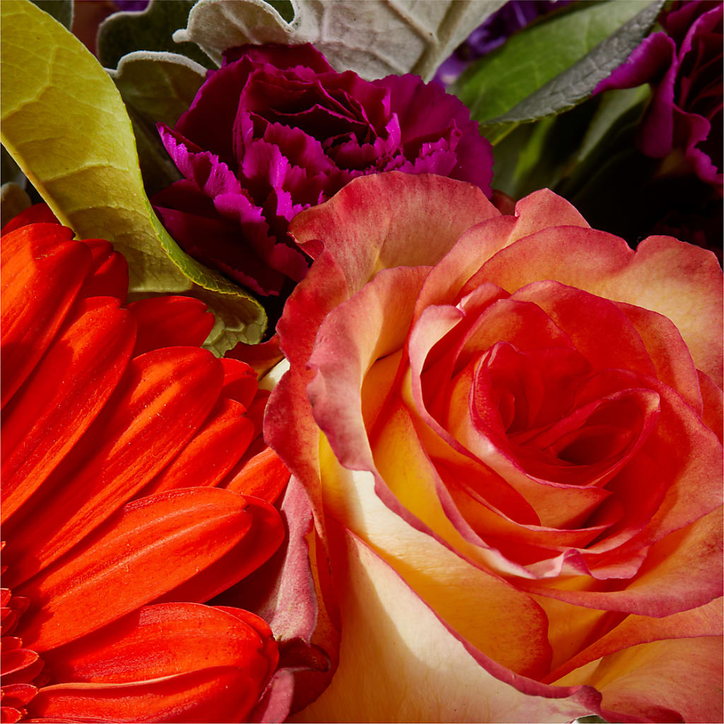 Sangria Bouquet – CONNIE'S FLORAL ARRANGEMENTS, Virginia Beach VA