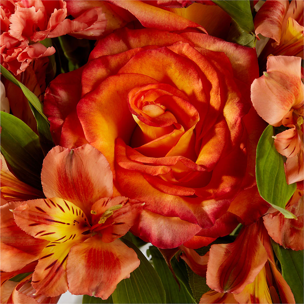 Apricot Glow Bouquet – CONNIE'S FLORAL ARRANGEMENTS, Virginia Beach VA