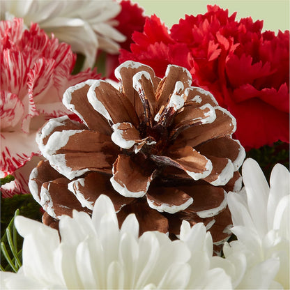 Candy Cane Lane Bouquet – CONNIE'S FLORAL ARRANGEMENTS, Virginia Beach VA