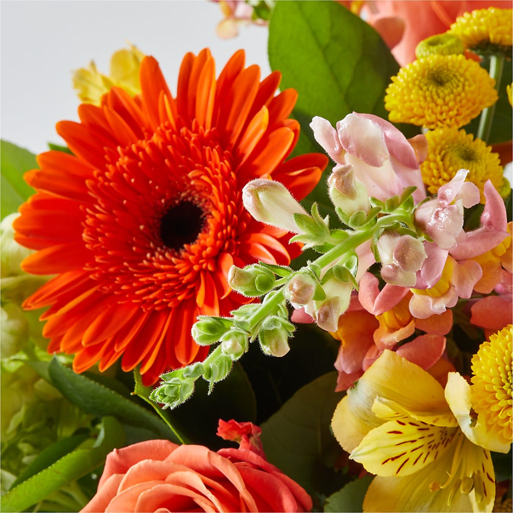 Autumn Sunshine Bouquet – CONNIE'S FLORAL ARRANGEMENTS, Virginia Beach VA