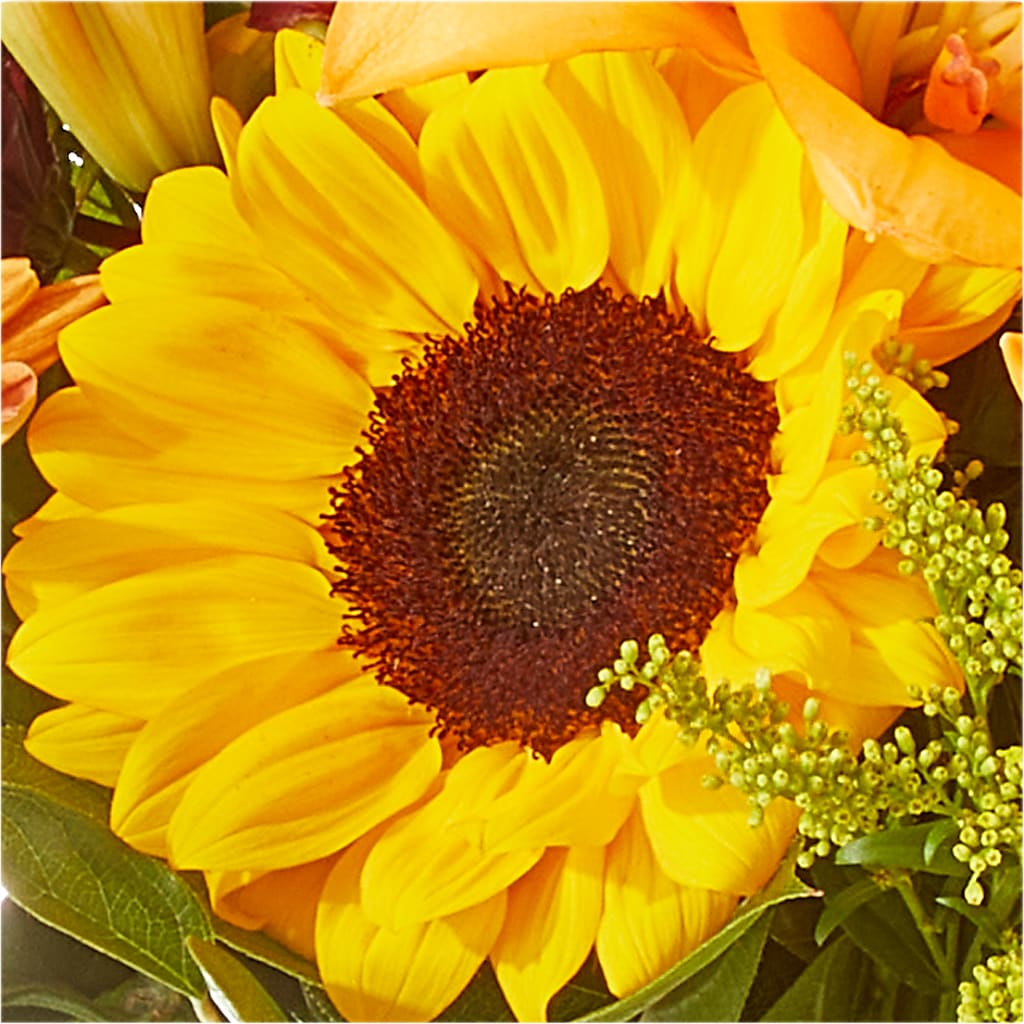 Seasons Change Bouquet – CONNIE'S FLORAL ARRANGEMENTS, Virginia Beach VA