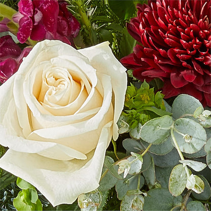 Cranberry Fizz Bouquet – CONNIE'S FLORAL ARRANGEMENTS, Virginia Beach VA