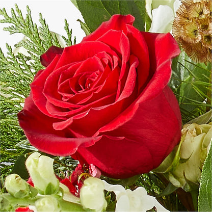 Deck the Halls Bouquet – CONNIE'S FLORAL ARRANGEMENTS, Virginia Beach VA