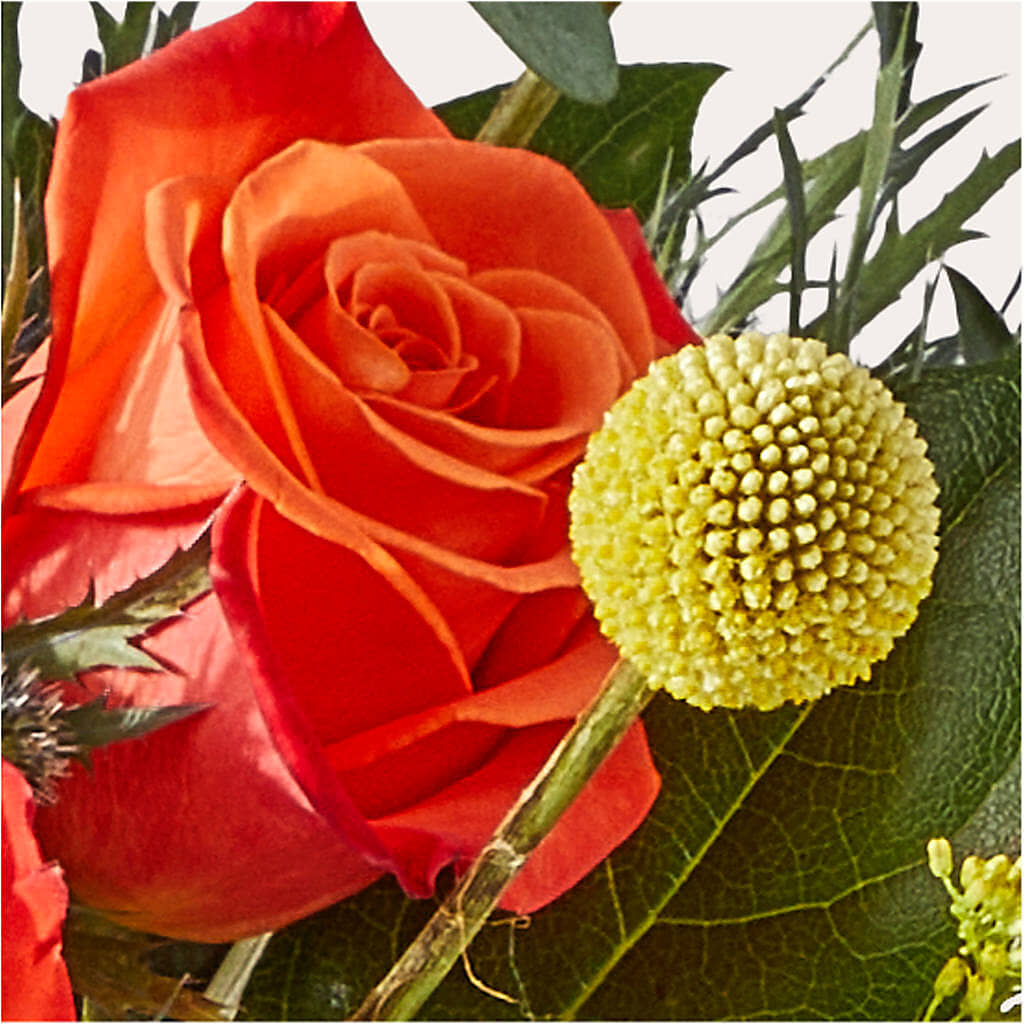 Disco Bouquet – CONNIE'S FLORAL ARRANGEMENTS, Virginia Beach VA
