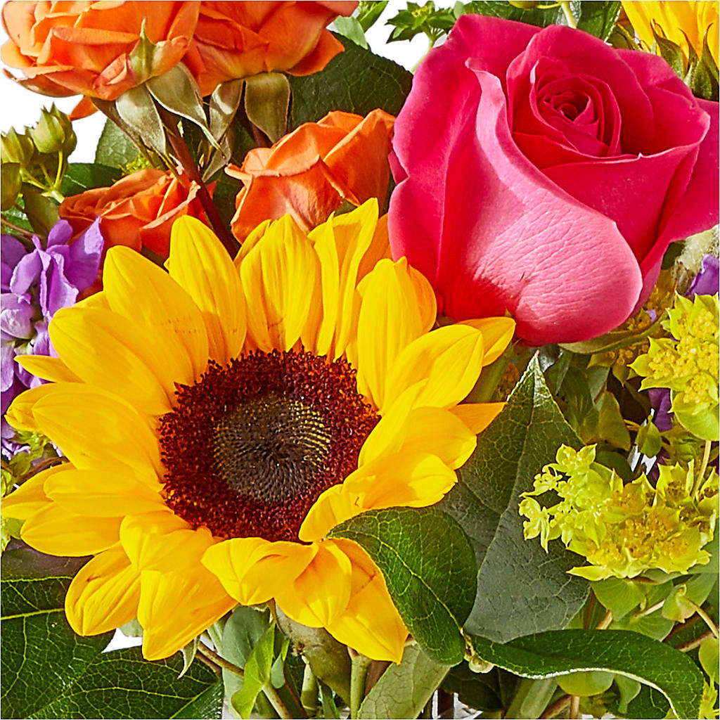 Vibrant Greetings Bouquet – CONNIE'S FLORAL ARRANGEMENTS, Virginia Beach VA