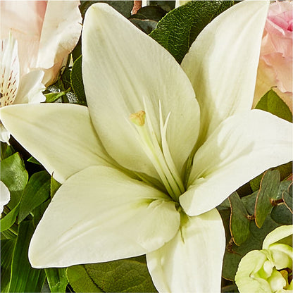 Ballet Slippers Bouquet – CONNIE'S FLORAL ARRANGEMENTS, Virginia Beach VA