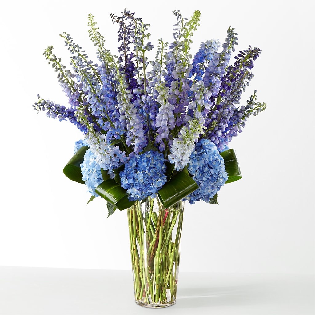 The Editorial – CONNIE'S FLORAL ARRANGEMENTS, Virginia Beach VA