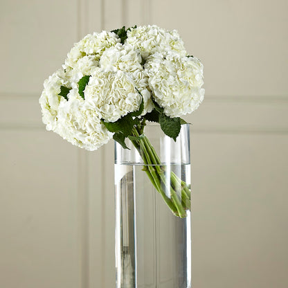 White Hydrangea Hand-Tied Bouquet – CONNIE'S FLORAL ARRANGEMENTS, Virginia Beach VA